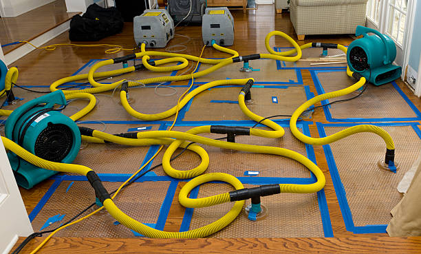 Professional Basement Flood Cleanup technician working in Saint Albans, MO